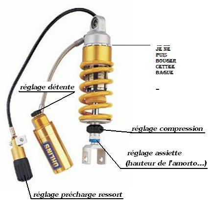 ohlins2.jpg