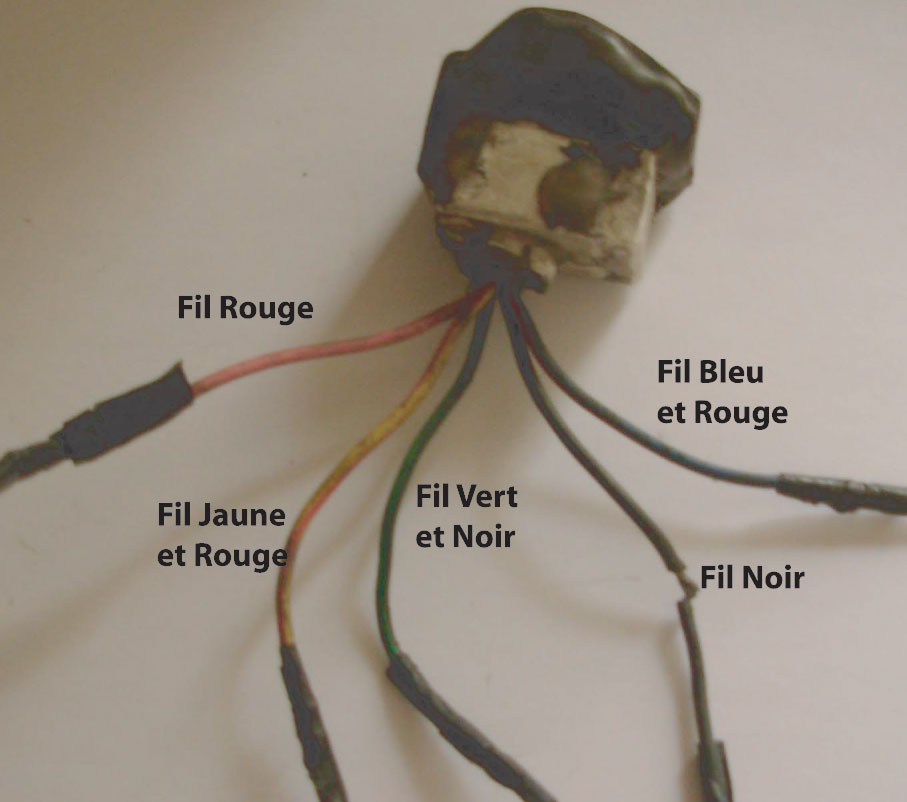 image1.jpg