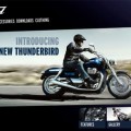 minisite_thunderbird