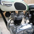 triumph_Thunderbird650_Tiger650_Trophy650_TR6_17 triumph_Thunderbird650_Tiger650_Trophy650_TR6_17