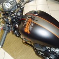 45367_full