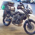 tiger800xc-1