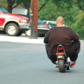 fat-boy-on-small-moto