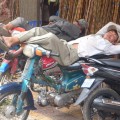uncomfortable-siesta-11