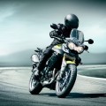 TIGER 800 1 TIGER 800 1