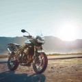 TIGER 800_3 TIGER 800_3