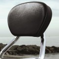 Sissy bar Thunderbird Sissy bar Thunderbird