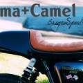 Jarama2_camel