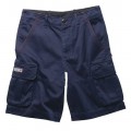 gamme_triumph_hinckley_07 gamme_triumph_hinckley_07