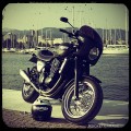 triumph_legend_matt_black_06