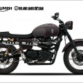 Triumph-Hawkized-Tony-Hawk