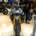 Tiger_XC_special_09