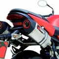 scorpion_street_01