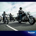 2012_cruisers